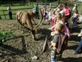 /album/farma-bitozeves/farma-bitozeves-03-jpg/